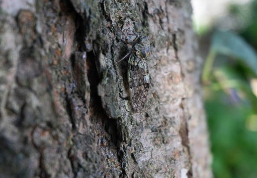 202207130812-DSC09846.jpg