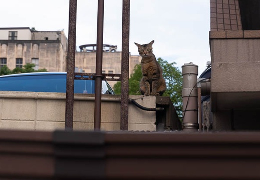 202207131743-DSC09883.jpg