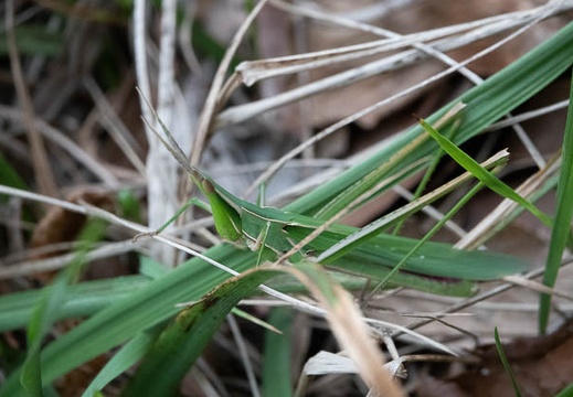 202207151828-DSC08982.jpg