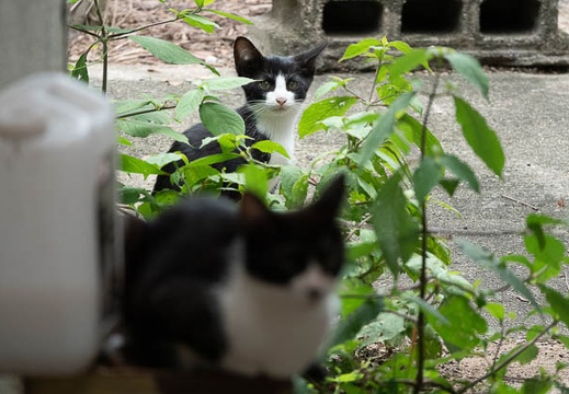 202207170906-DSC09181.jpg