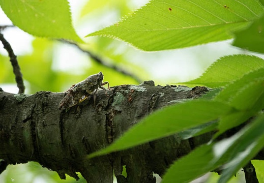 202207171004-DSC09206.jpg
