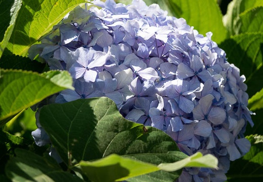 202207171455-DSC09402.jpg