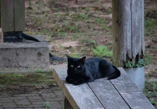 202207171909-DSC09479.jpg