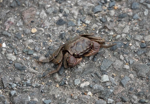 202207181059-DSC09486.jpg
