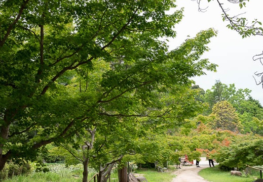 202207181107-DSC09491.jpg