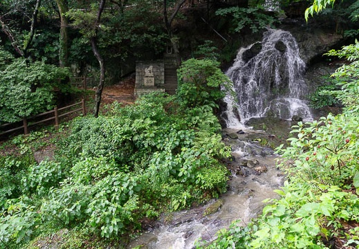 202207191208-DSC09982.jpg