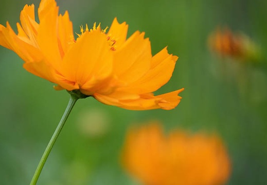 202207221804-DSC09587.jpg