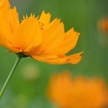 202207221804-DSC09587.jpg