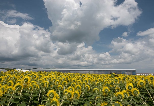 202207231403-DSC09686.jpg
