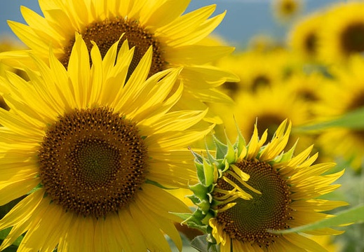 202207231406-DSC09699.jpg