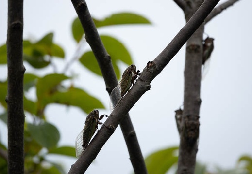 202207241111-DSC09873.jpg