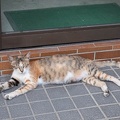 202207241757-DSC00134.jpg
