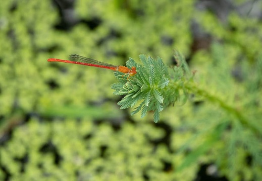 202208071506-DSC00288.jpg