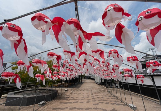 202208121154-DSC00036N6.jpg