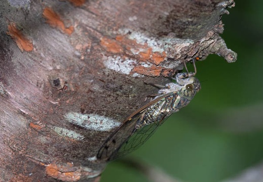 202208161028-DSC00465.jpg