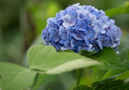 202208161148-DSC00519.jpg