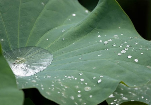 202208161421-DSC00541.jpg