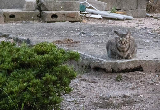 202208251859-DSC00555.jpg