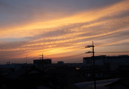 202208271853-DSC00748.jpg