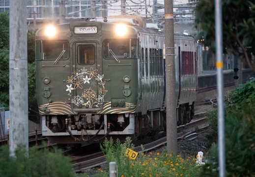 202209101821-DSC02326.jpg