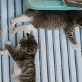 202209141815-DSC01216.jpg