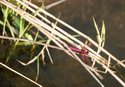 202209161626-DSC02509.jpg