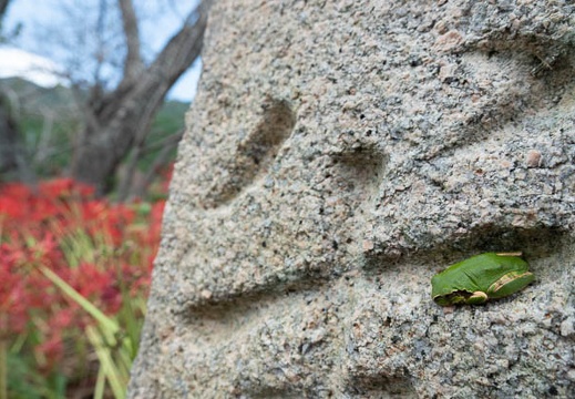 202209201239-DSC02622.jpg