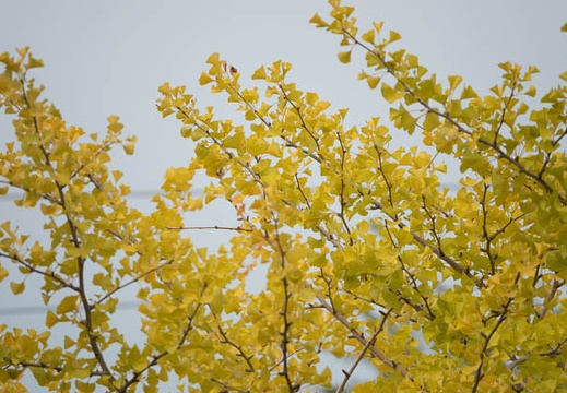202209230912-DSC02681.jpg
