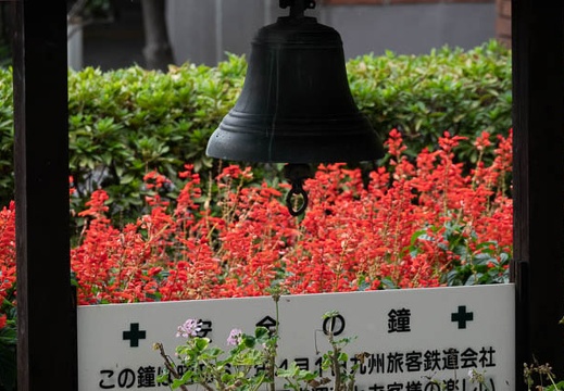202209231519-DSC02784.jpg