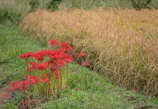 202209271218-DSC02954.jpg