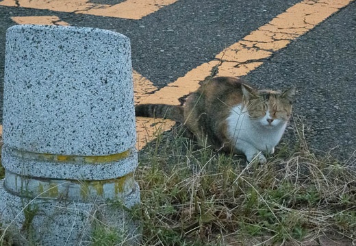 202209281807-DSC01417.jpg