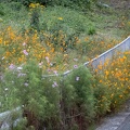 202210080700-DSC01459.jpg