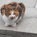 202210091119-DSC03821.jpg