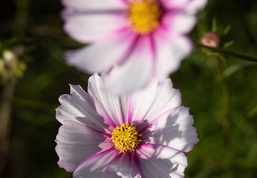 202210191433-DSC04259.jpg