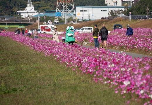 202211041232-DSC04645.jpg