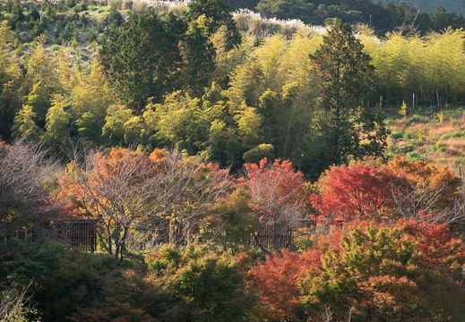 202211070936-DSC04840.jpg