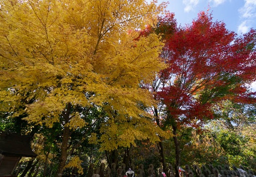 202211070943-DSC00050N6.jpg