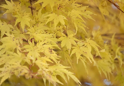 202211070945-DSC04878.jpg
