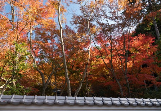 202211071023-DSC04985.jpg