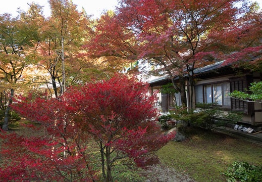 202211071027-DSC04994.jpg