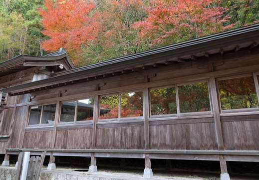 202211071029-DSC05002.jpg