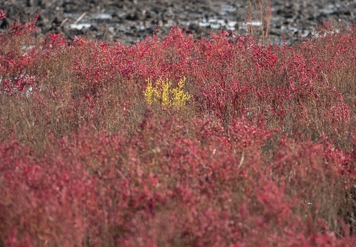 202211071458-DSC05281.jpg
