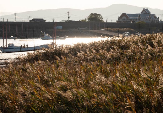 202211071612-DSC05359.jpg