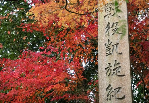 202211151515-DSC05537.jpg