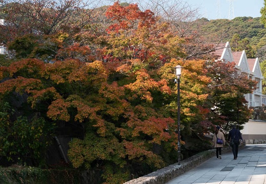 202211160916-DSC05629.jpg