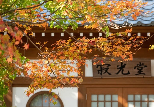 202211161024-DSC05771.jpg