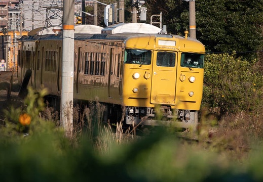202212251534-DSC06703.jpg