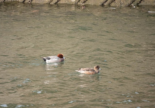 202212311504-DSC06839.jpg
