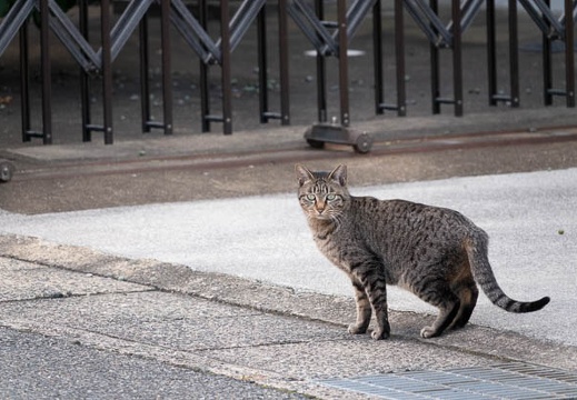 202212311511-DSC06843.jpg