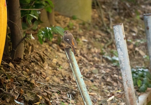 202212311550-DSC06880.jpg